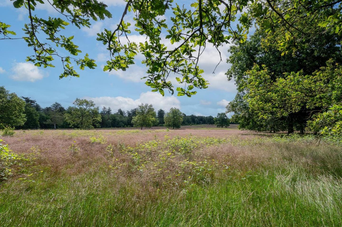 Chalet 42 'Vuursteenberg' Bospark Ijsselheide Zwolle Hattemerbroek Dış mekan fotoğraf